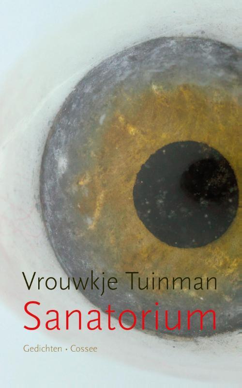 Omslag van boek: Sanatorium